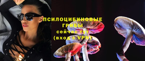 гашик Богородицк