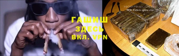 индика Богородск