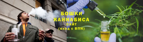 индика Богородск