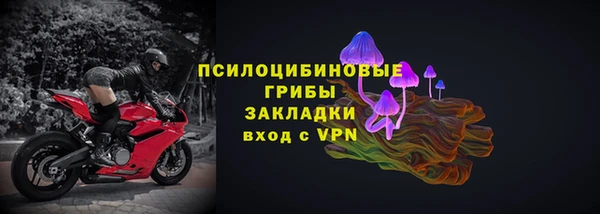 гашик Богородицк