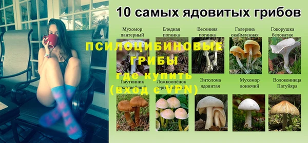 индика Богородск