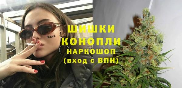 гашик Богородицк