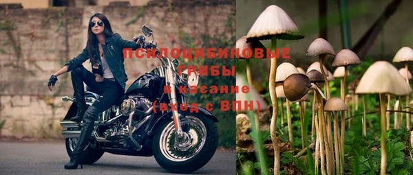 стафф Богданович