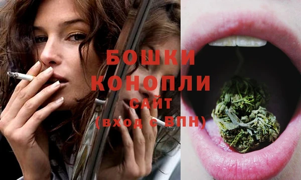 прущие грибы Бугульма