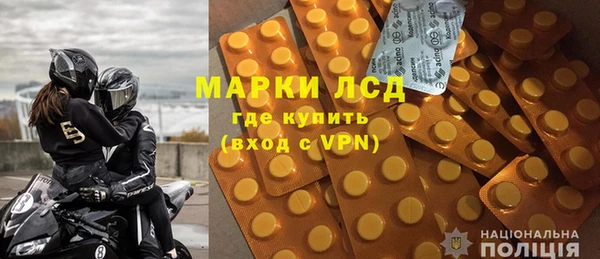 индика Богородск