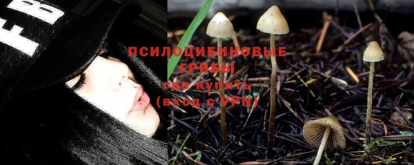 индика Богородск
