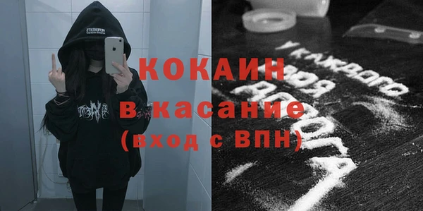 индика Богородск