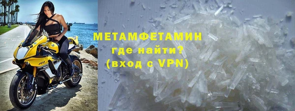 индика Богородск