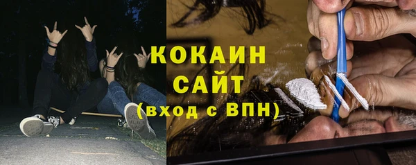 индика Богородск