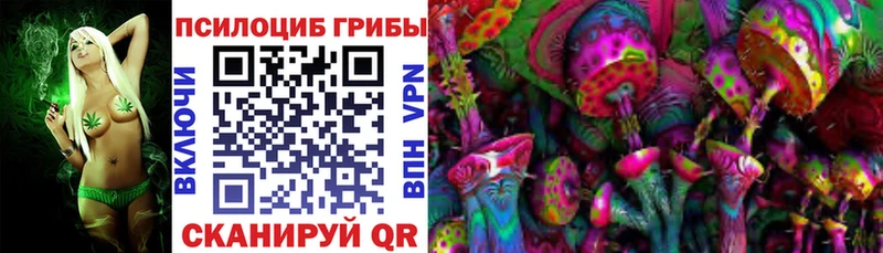 наркота Ильский Галлюциногенные грибы Psilocybe